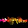 Lien particulier